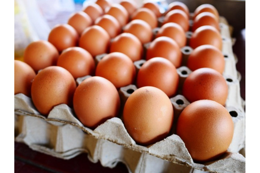 Increase in the price of eggs inevitable – veterinary officer