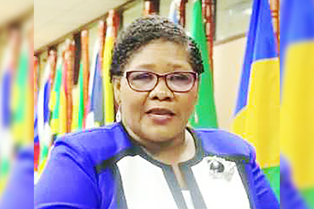 CARICOM Chief Medical Officers receive updates on regional health coordination