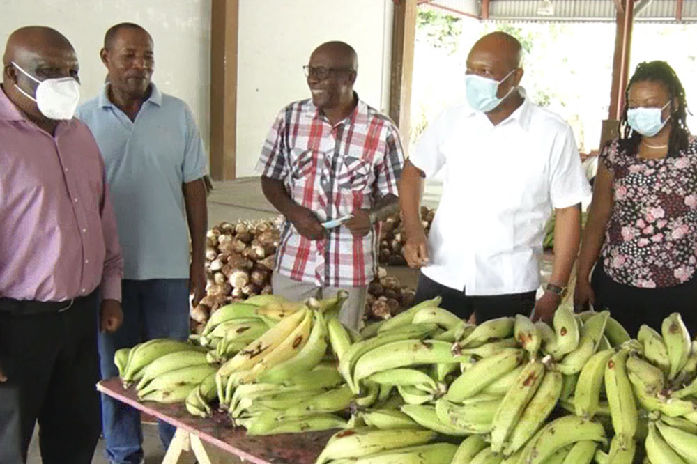 La Croix Food Terminal Strengthens Food Security