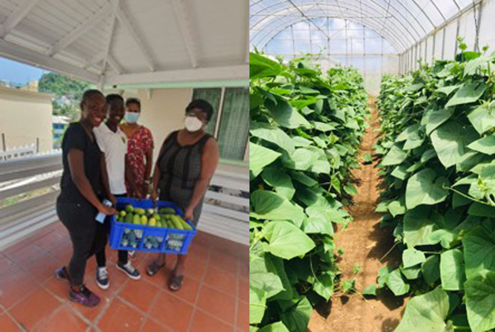Students of Agriculture and Entrepreneurship at the SVGCC give back